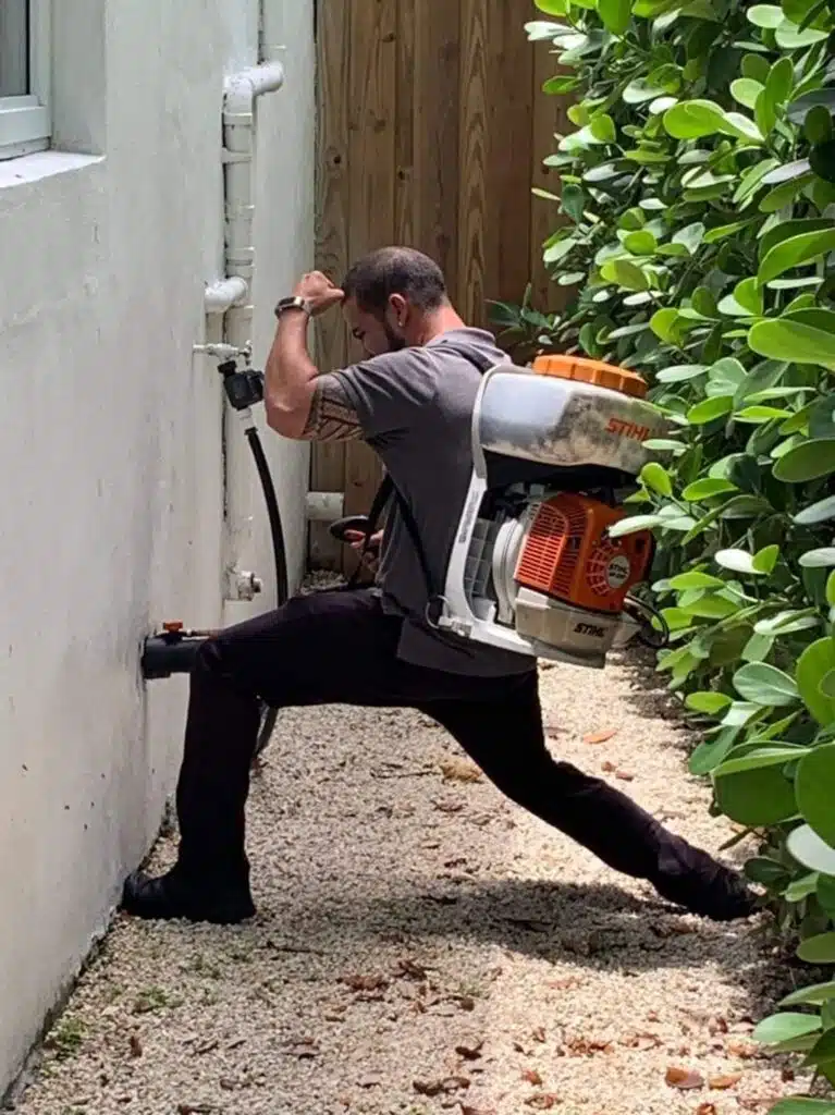 Commercial Pest Control Service in Miami, FL
