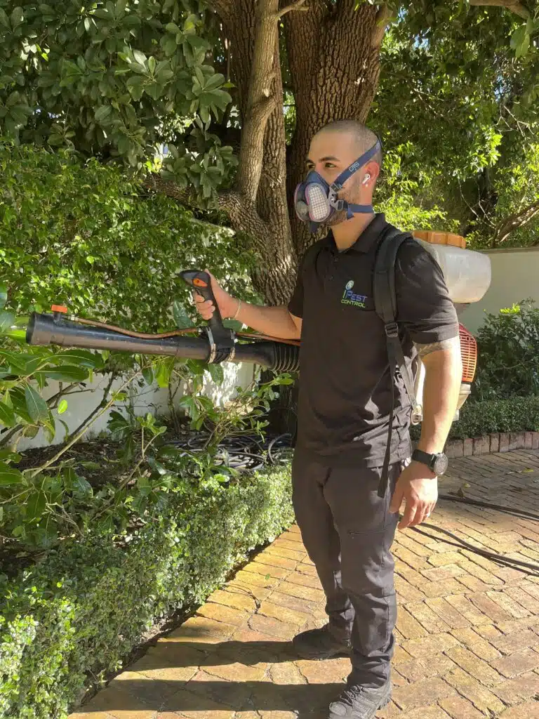 Residential and Commercial Pest Control in Miami