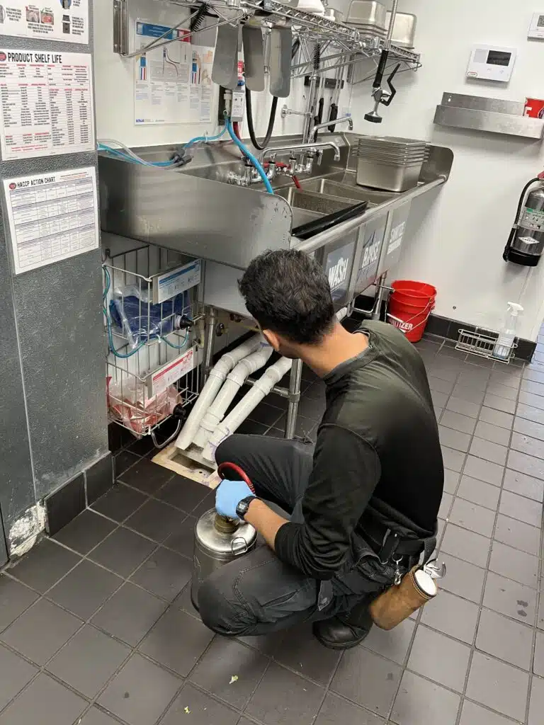 Commercial Pest Control in Miami, FL