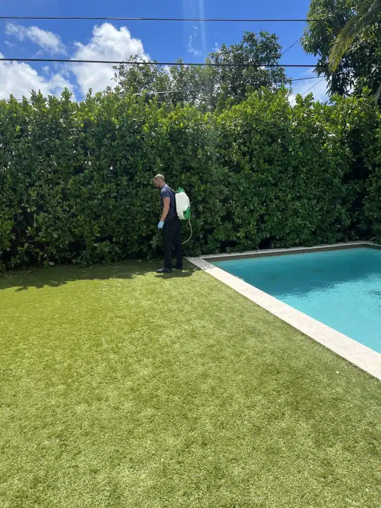 Residential Pest Control in Miami, FL