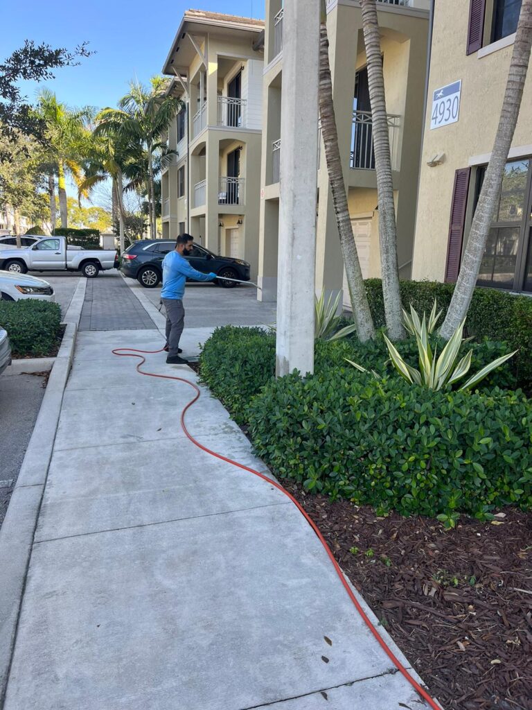 Pest Control in Miami