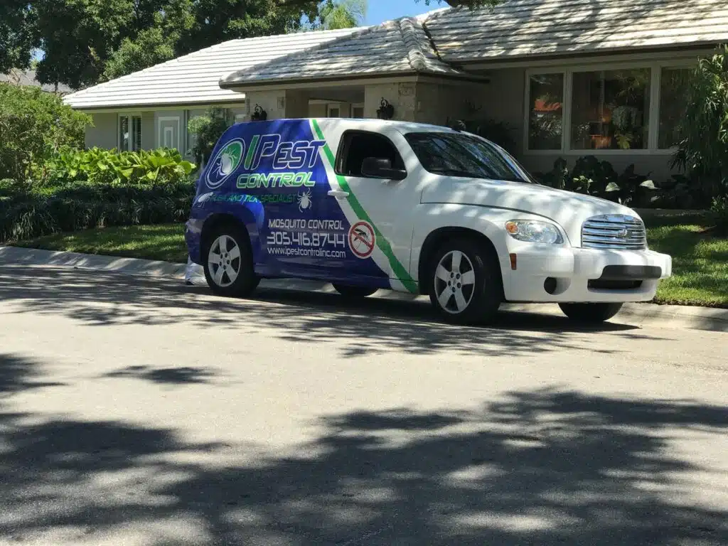 Mosquito Control in Miami, FL: Our Services