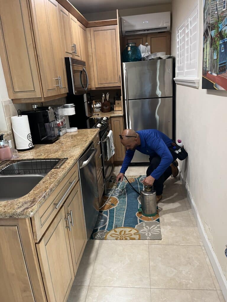 Curveball Kitchen