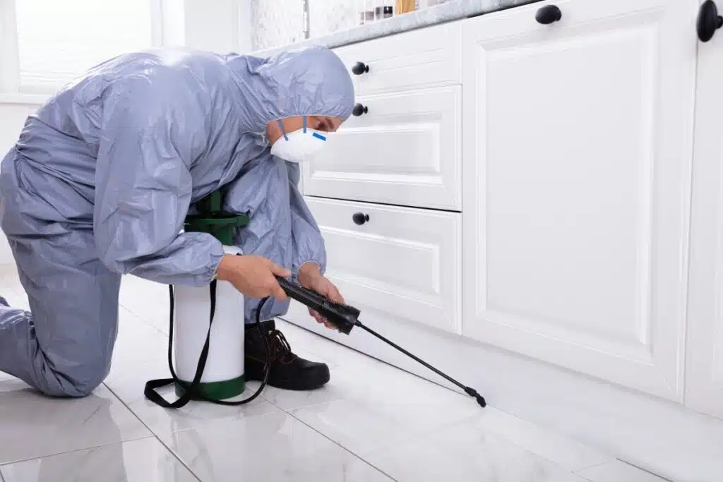 pest control palmetto bay