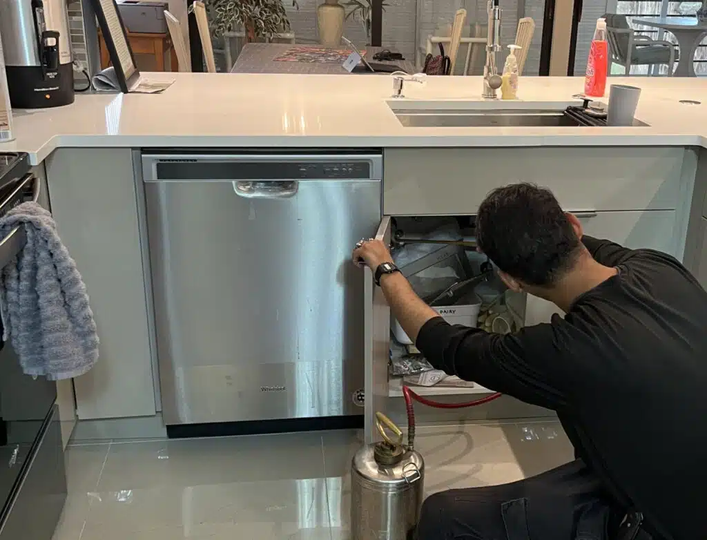 Ant Control in Miami, FL