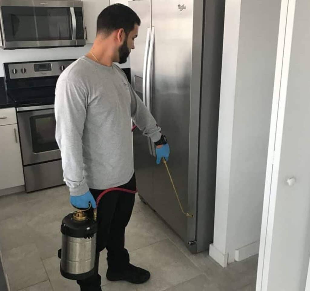 Curveball Kitchen