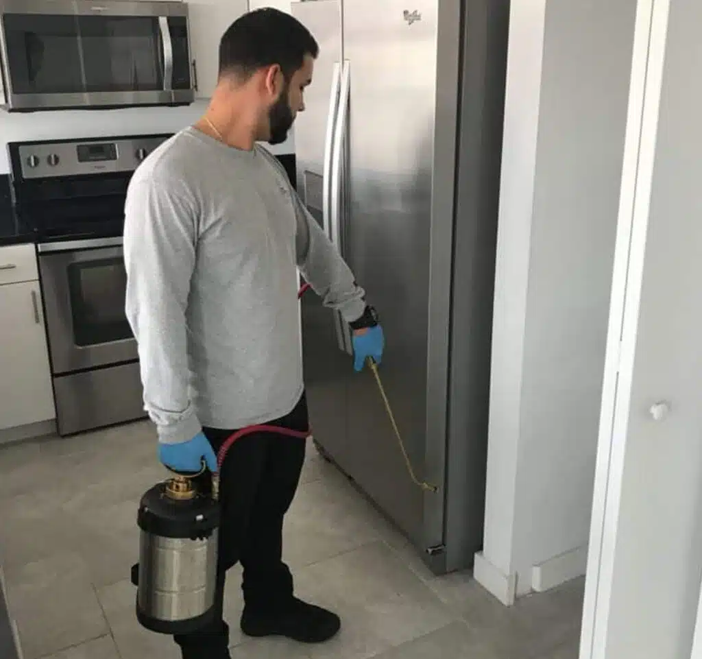 Curveball Kitchen