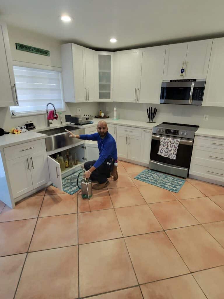 Roach Control in Miami, FL