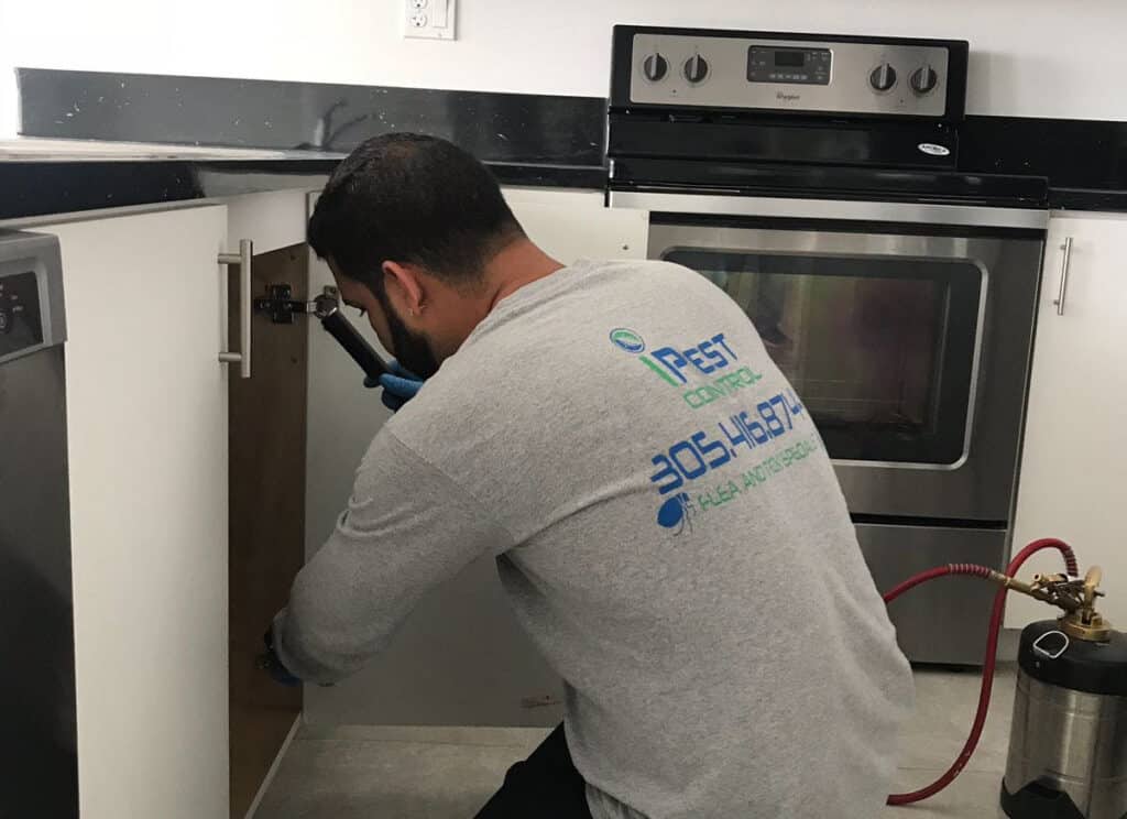 Pest Inspection