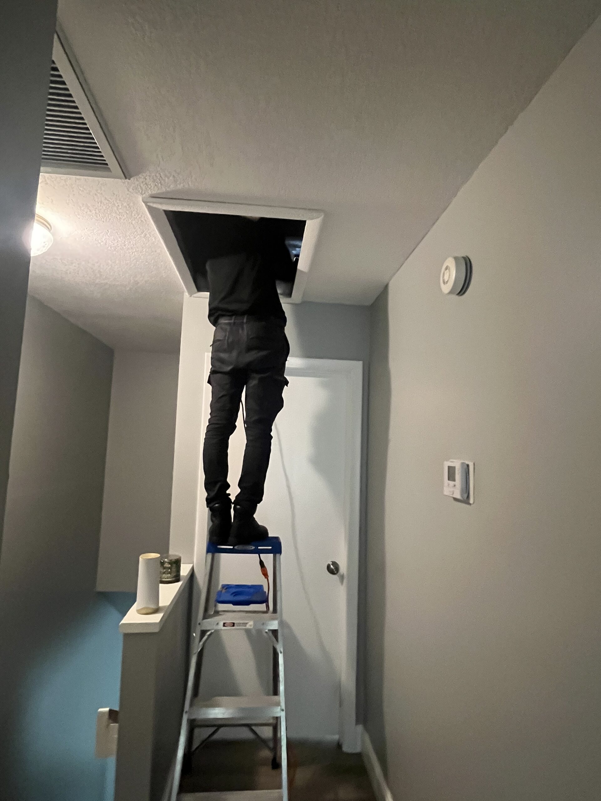 DIY Pest Control Coral Gables