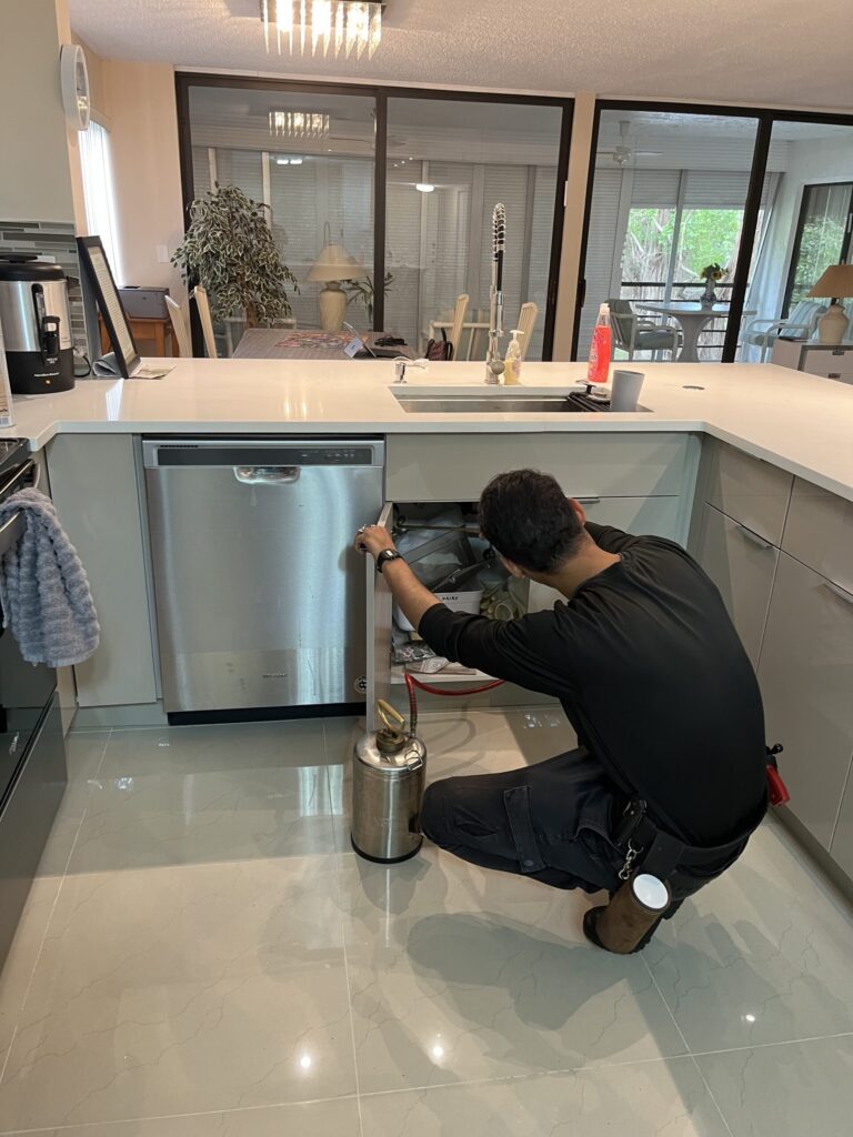 iPest Control Inc. local kitchen