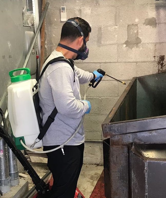 Termite Control in Miami Beach