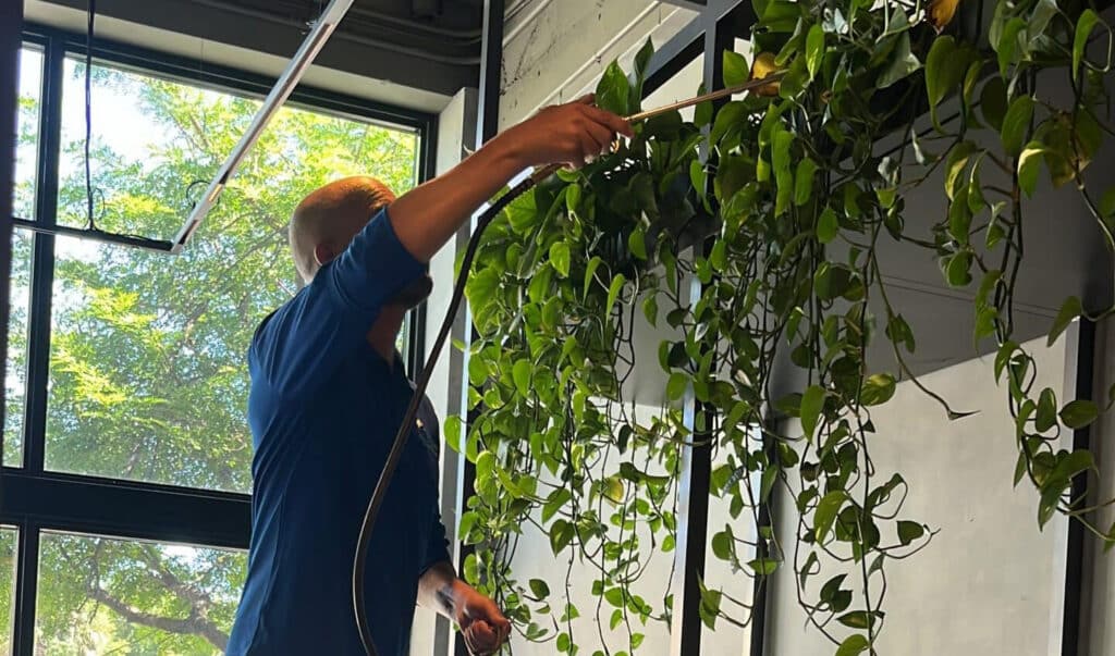 Backyard Mosquito Control