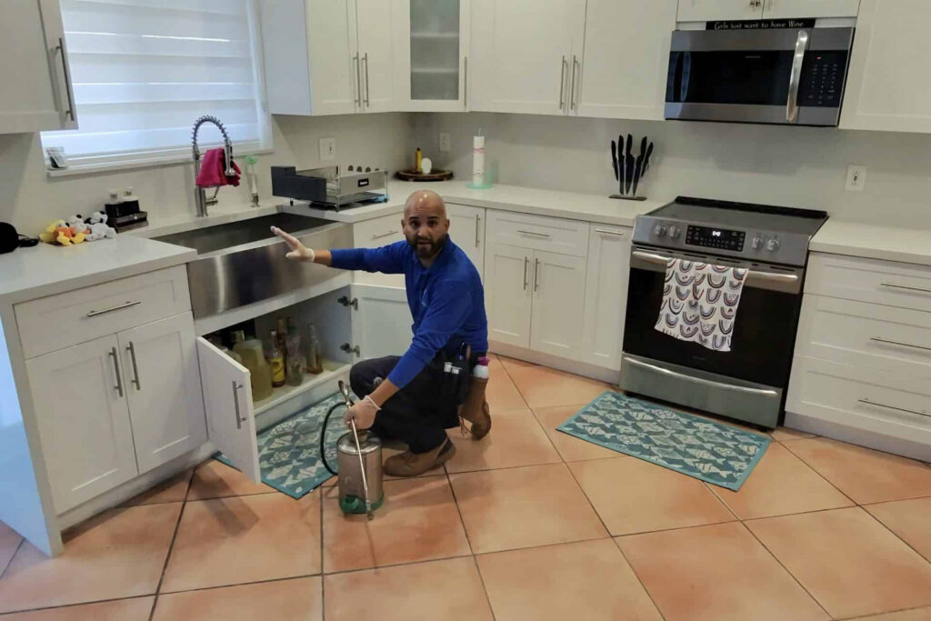 Termite Control in Miami FL